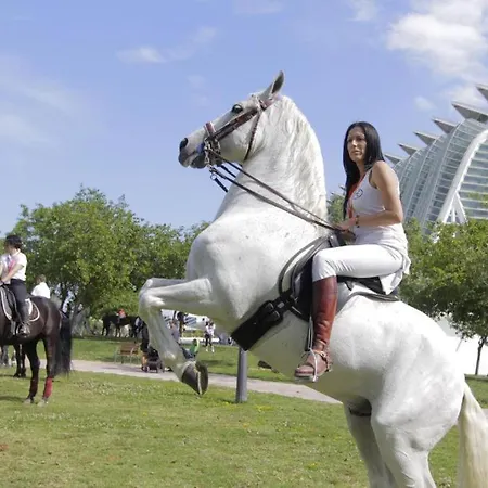 Cosy Flat Valencia Apartamento Masanasa